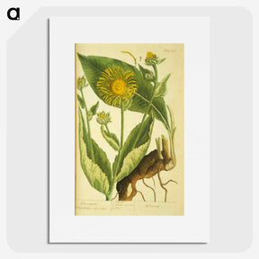 3-49_National-Library-of-Medicine_picture