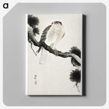 3-49_Ohara-Koson_canvas