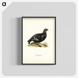 3-49_Svenska-Faglar_blk-crop