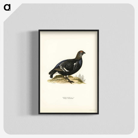 3-49_Svenska-Faglar_blk-crop