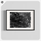 3-49_The-Burton-Brothers_blk