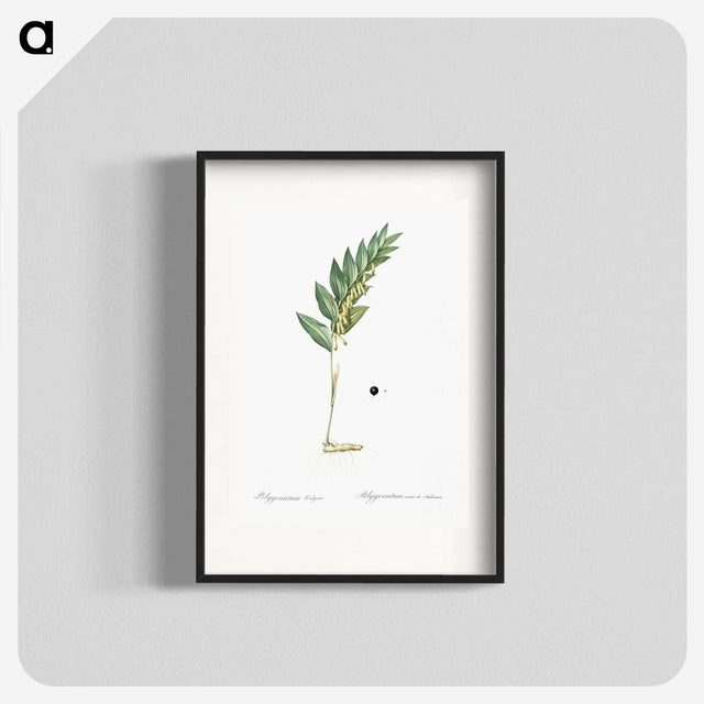 3-49_The-Lilies_blk