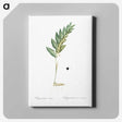 3-49_The-Lilies_canvas