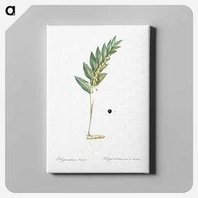3-49_The-Lilies_canvas
