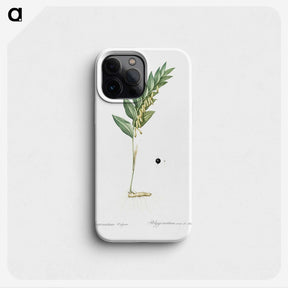 3-49_The-Lilies_phone