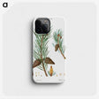 3-49_Treatise-on-Trees-and-Shrubs_phone