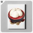3-49_USDA-Watercolor-Fruit-Painting-Collection_canvas