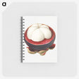 3-49_USDA-Watercolor-Fruit-Painting-Collection_memo