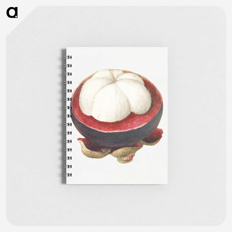 3-49_USDA-Watercolor-Fruit-Painting-Collection_memo