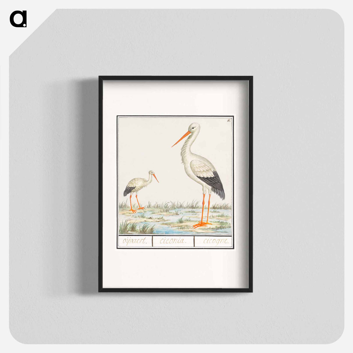 The Stork - アンセルムス ボエティウス デ ブート Poster.