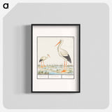 The Stork - アンセルムス ボエティウス デ ブート Poster.