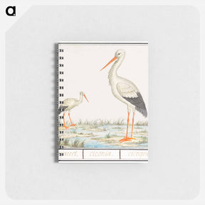 アートメモ帳-The Stork - アンセルムス ボエティウス デ ブート Memo.