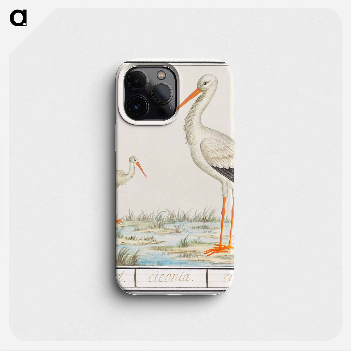 The Stork - アンセルムス ボエティウス デ ブート Phone Case.