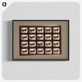 3-4_Eadweard-Muybridge_blk-crop