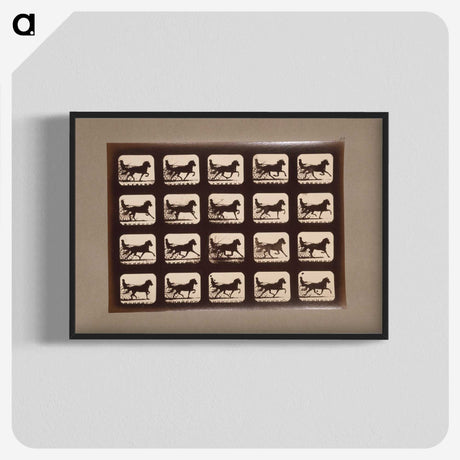 3-4_Eadweard-Muybridge_blk-crop