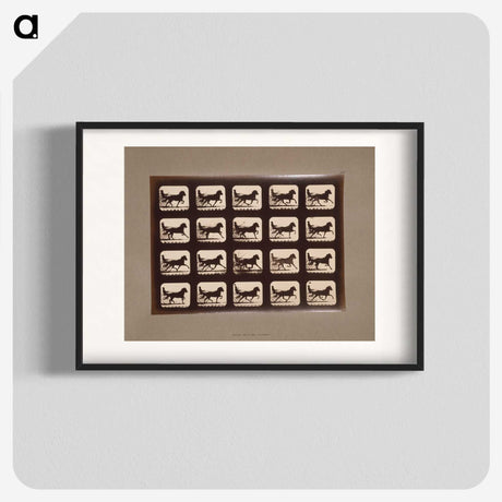 3-4_Eadweard-Muybridge_blk