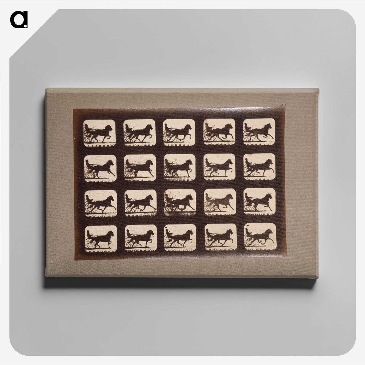 3-4_Eadweard-Muybridge_canvas