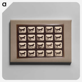 3-4_Eadweard-Muybridge_canvas
