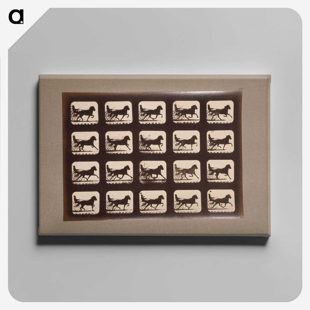 3-4_Eadweard-Muybridge_canvas
