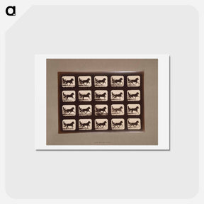 アートポストカード-Pacing Horses
 - エドワード マイブリッジ Postcard.