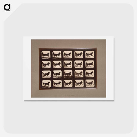 アートポストカード-Pacing Horses
 - エドワード マイブリッジ Postcard.