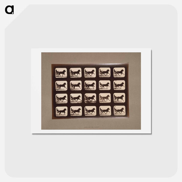 アートポストカード-Pacing Horses
 - エドワード マイブリッジ Postcard.