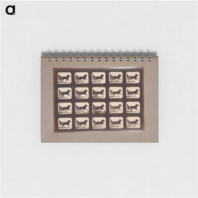 3-4_Eadweard-Muybridge_memo