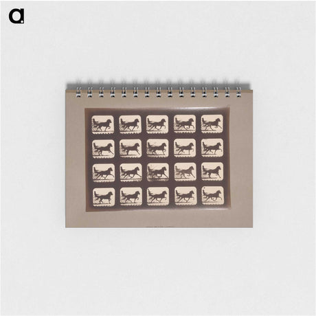 3-4_Eadweard-Muybridge_memo