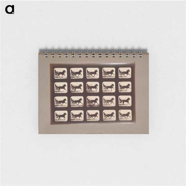 3-4_Eadweard-Muybridge_memo