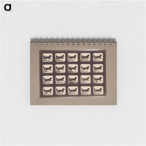 アートメモ帳-Pacing Horses
 - エドワード マイブリッジ Memo.