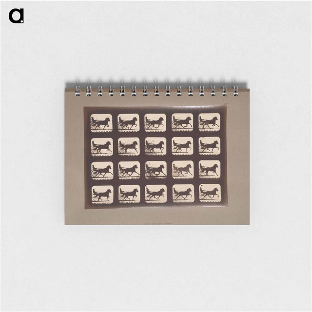 アートメモ帳-Pacing Horses
 - エドワード マイブリッジ Memo.