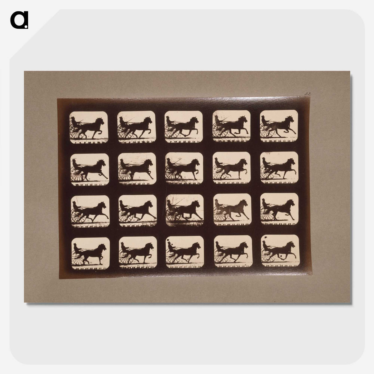 3-4_Eadweard-Muybridge_picture-crop