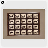 3-4_Eadweard-Muybridge_picture-crop
