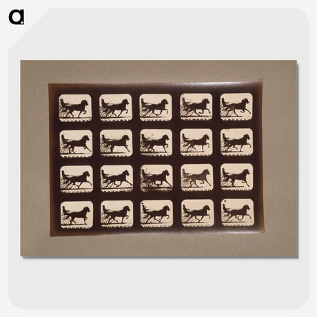 3-4_Eadweard-Muybridge_picture-crop