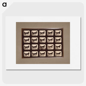 3-4_Eadweard-Muybridge_picture