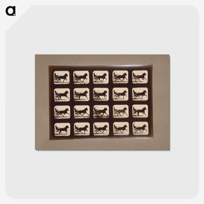3-4_Eadweard-Muybridge_postcard