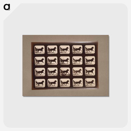 アートポストカード-Pacing Horses
 - エドワード マイブリッジ Postcard.