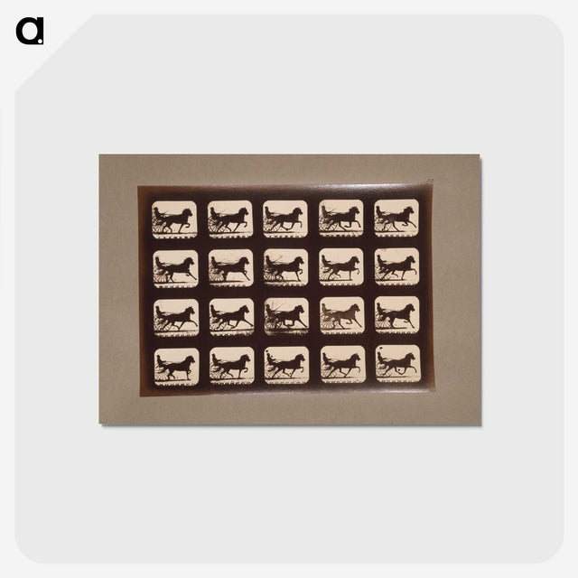 3-4_Eadweard-Muybridge_postcard