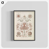 3-4_Ernst-Haeckel_blk-crop