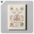 3-4_Ernst-Haeckel_canvas