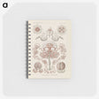 3-4_Ernst-Haeckel_memo
