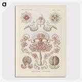 3-4_Ernst-Haeckel_picture-crop