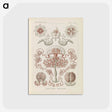 3-4_Ernst-Haeckel_postcard