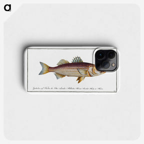 3-4_Ichtyologie-ou-Histoire-naturelle_phone