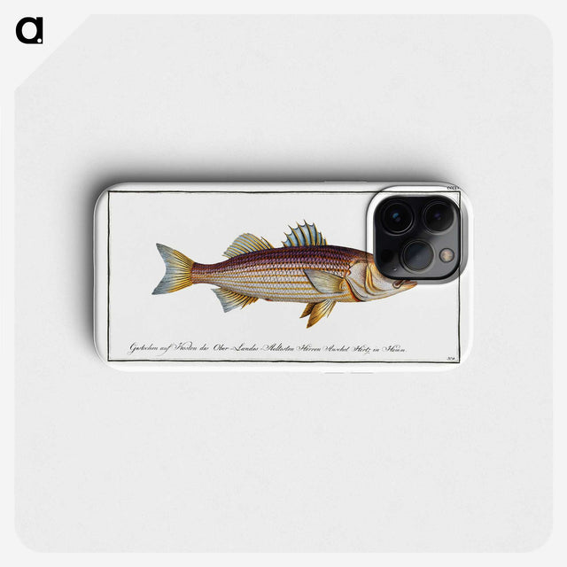 3-4_Ichtyologie-ou-Histoire-naturelle_phone