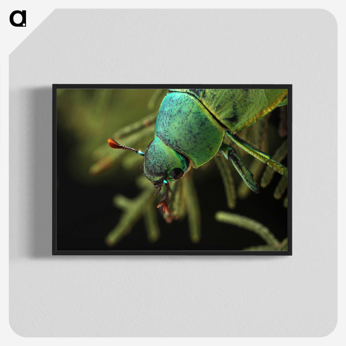 3-4_Insects-Unlocked-Project_blk-crop