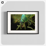 3-4_Insects-Unlocked-Project_blk
