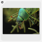 3-4_Insects-Unlocked-Project_picture-crop