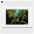 3-4_Insects-Unlocked-Project_picture