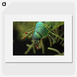 3-4_Insects-Unlocked-Project_picture